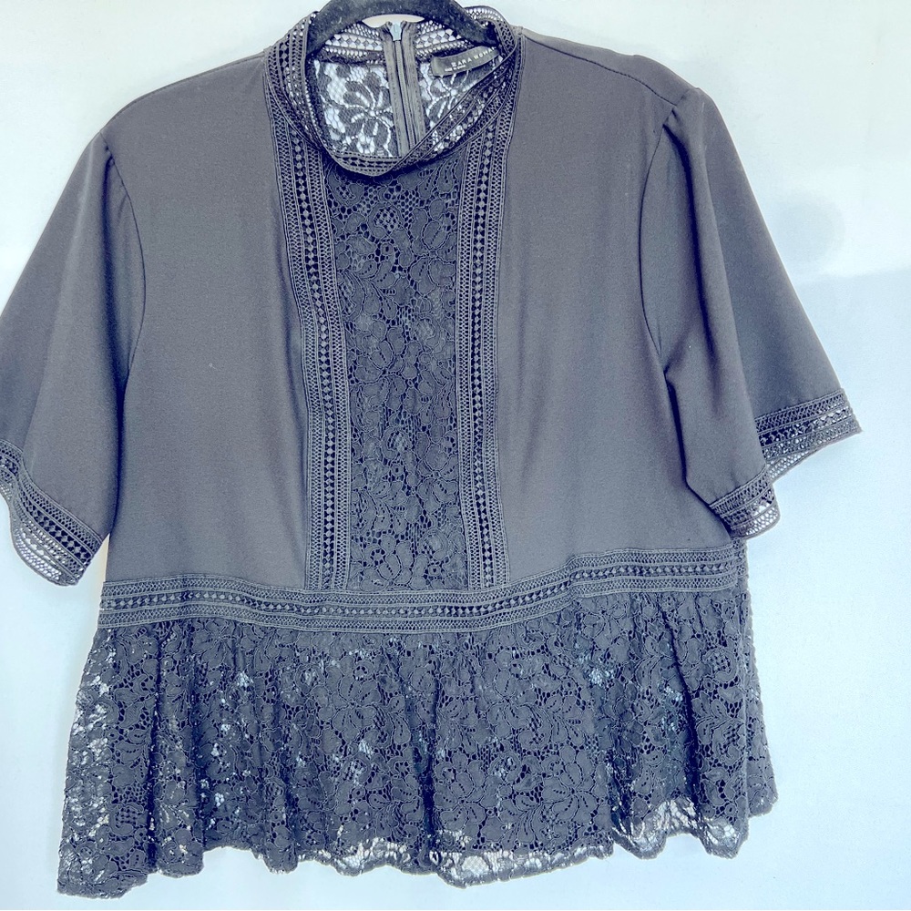Sheer Pullover Blouse - image 1